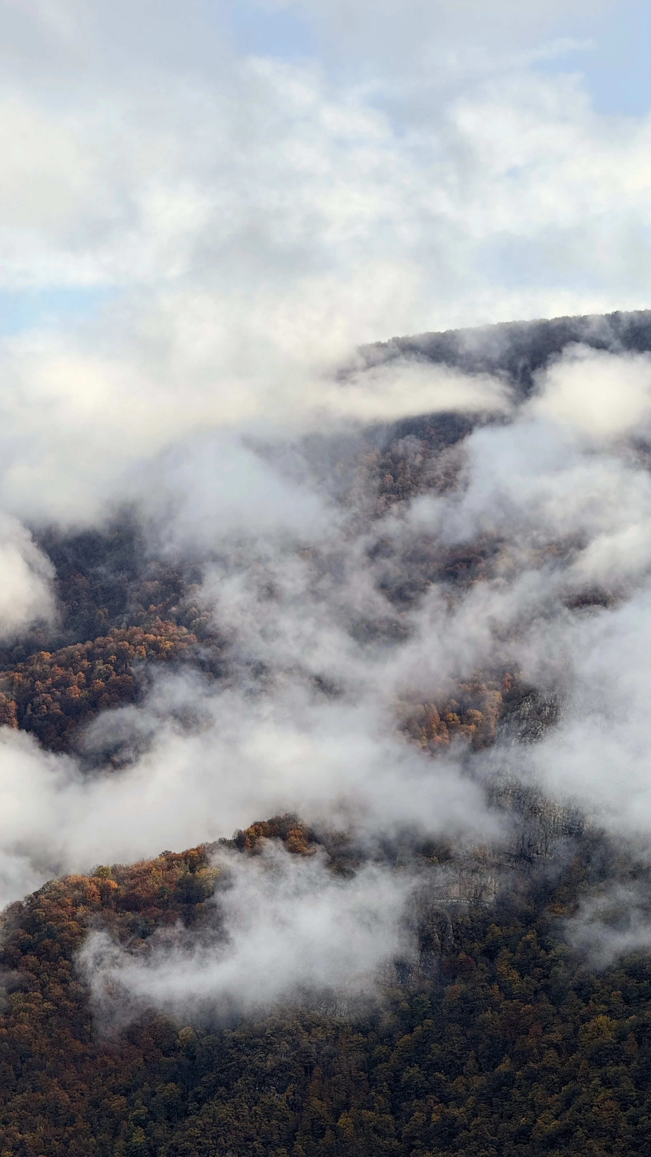 Mist over the autumn Hyrcanian forest above Tonekabon