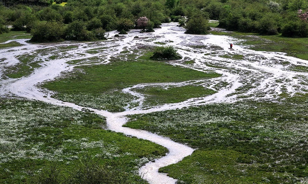 Meltwater braiding in shallow channels across grass