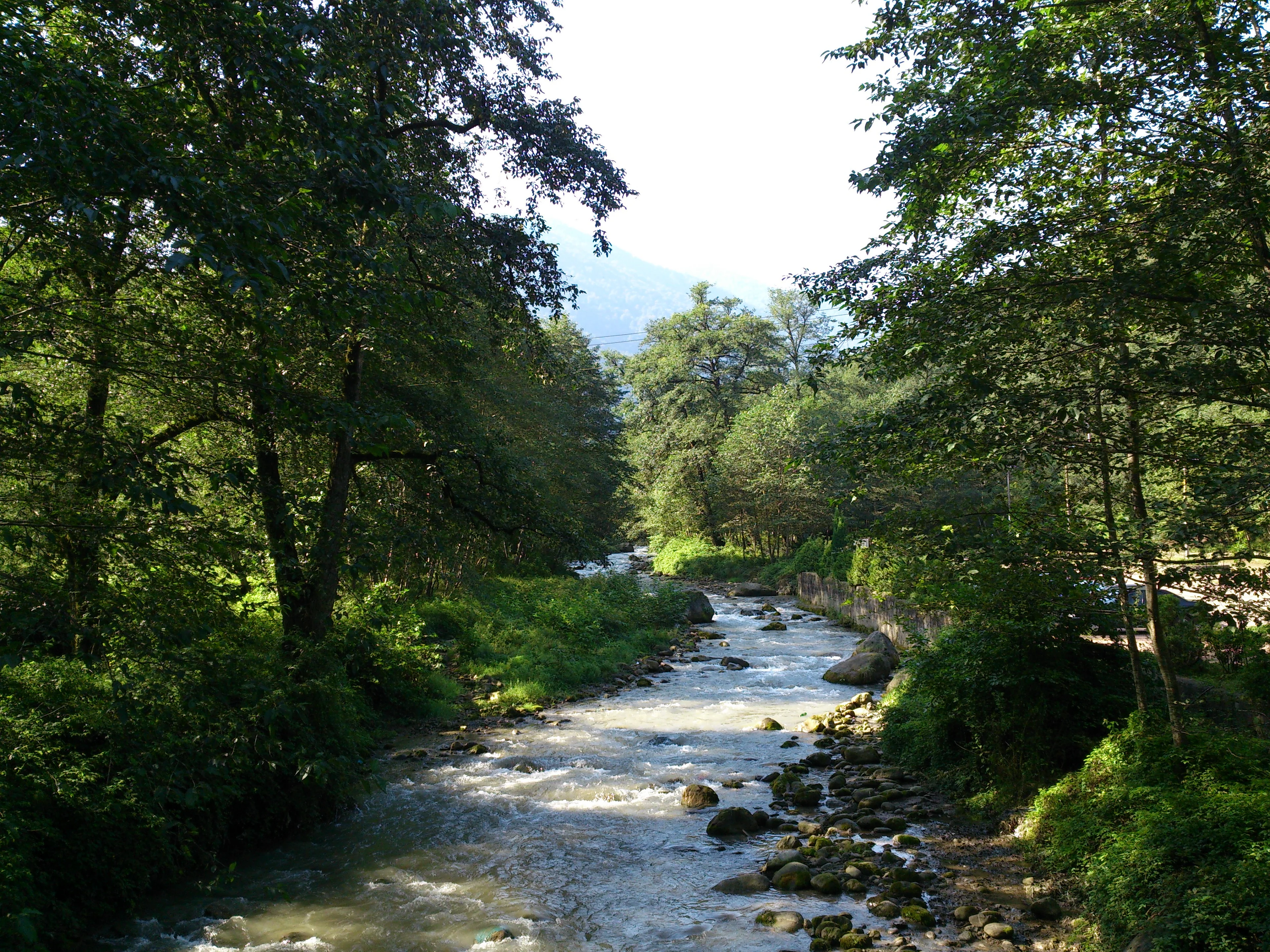 A river running down out of forested hills above the town